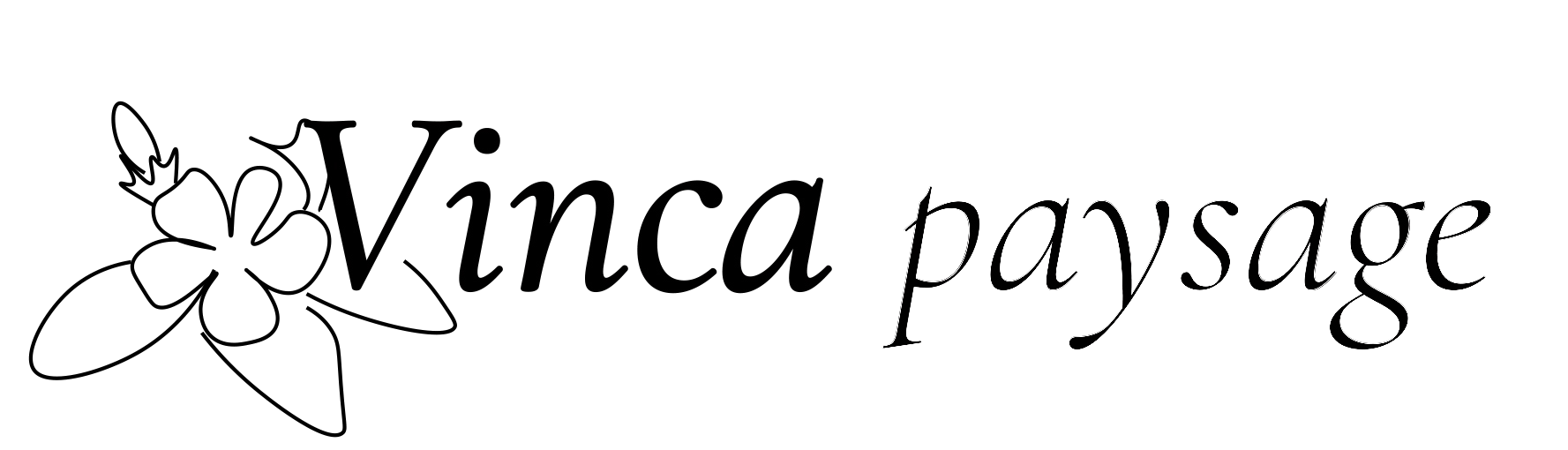 Vinca paysage